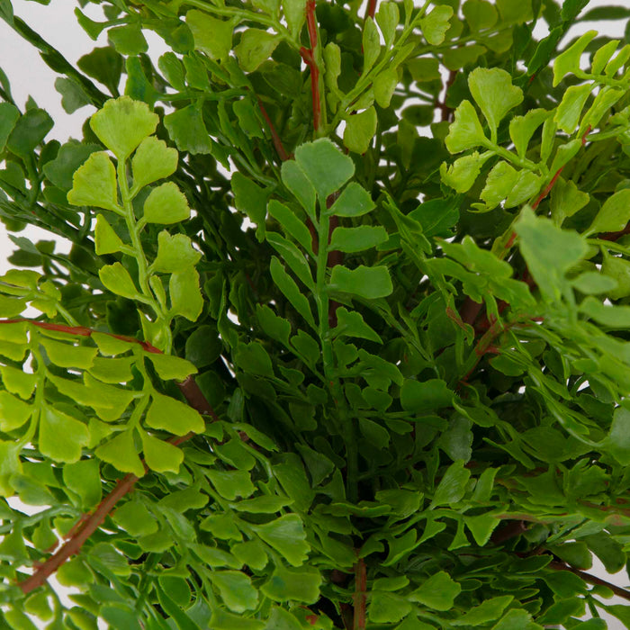 Uttermost 60237 Maidenhair Fern In Oxidized Container