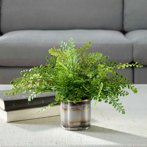 Uttermost 60237 Maidenhair Fern In Oxidized Container
