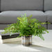 Uttermost 60237 Maidenhair Fern In Oxidized Container
