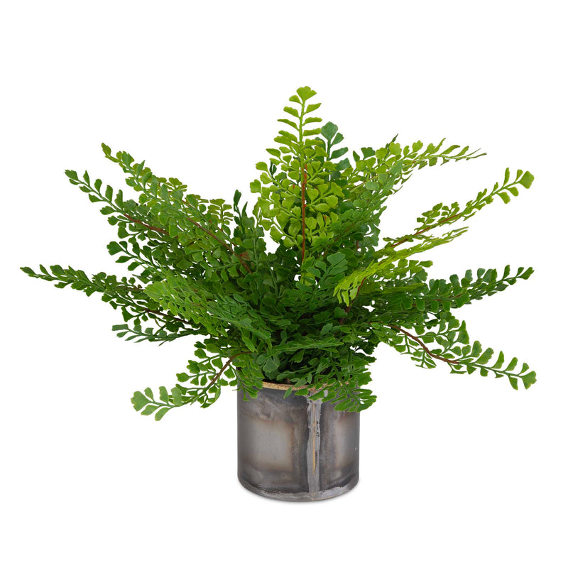 Uttermost 60237 Maidenhair Fern In Oxidized Container