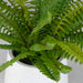 Uttermost 60238 Boston Fern In White Ceramic Pot