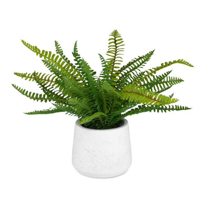 Uttermost 60238 Boston Fern In White Ceramic Pot