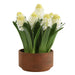 Uttermost 60242 Sincerity Potted Hyacinth Plant