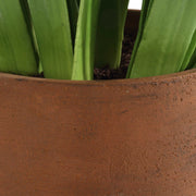 Uttermost 60242 Sincerity Potted Hyacinth Plant