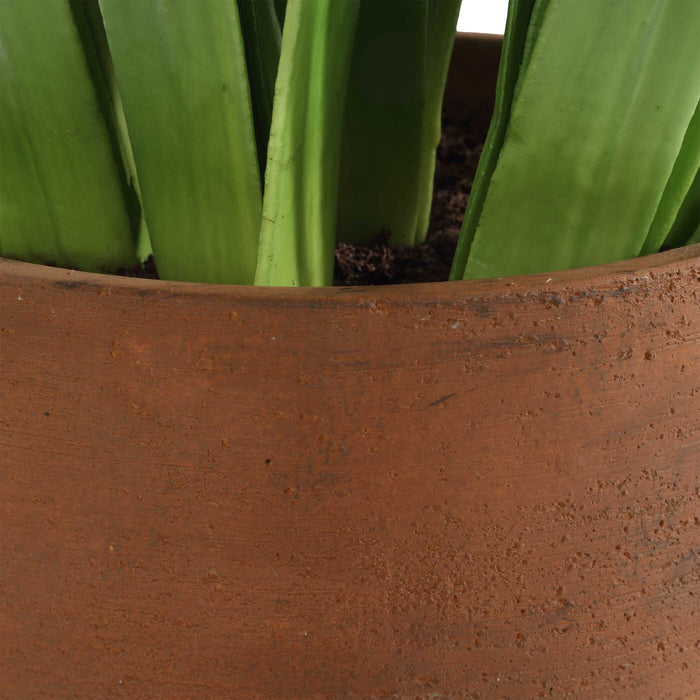 Uttermost 60242 Sincerity Potted Hyacinth Plant