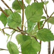 Uttermost 60254 Nigra Birch Vase Centerpiece