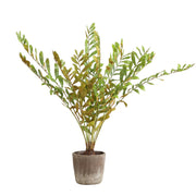 Uttermost 60243 Zamia Palm Accent In Planter