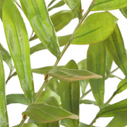 Uttermost 60243 Zamia Palm Accent In Planter