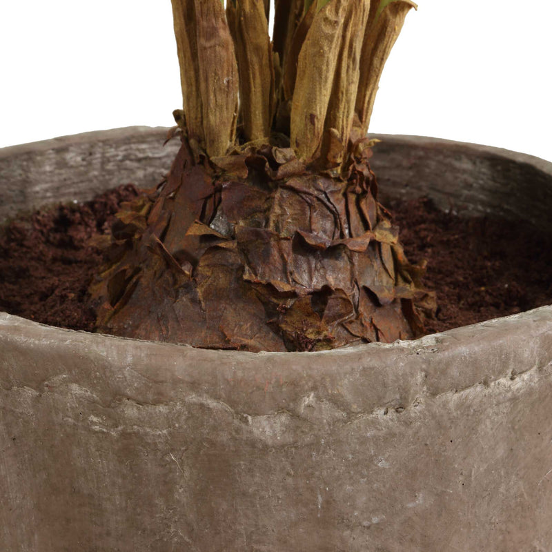 Uttermost 60243 Zamia Palm Accent In Planter