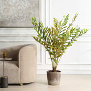 Uttermost 60243 Zamia Palm Accent In Planter