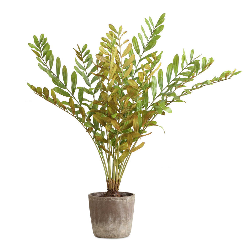 Uttermost 60243 Zamia Palm Accent In Planter