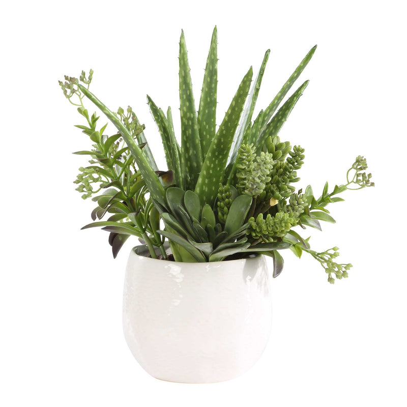 Uttermost 60244 Sundown Succulent Accent Planter