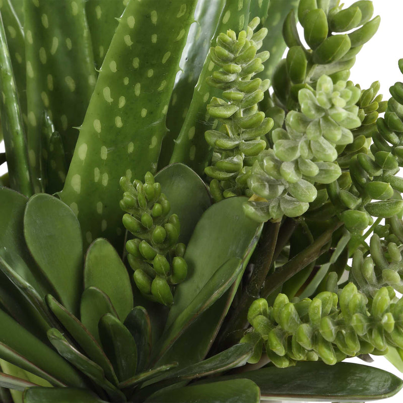 Uttermost 60244 Sundown Succulent Accent Planter