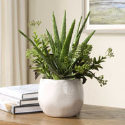 Uttermost 60244 Sundown Succulent Accent Planter