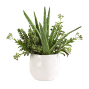 Uttermost 60244 Sundown Succulent Accent Planter