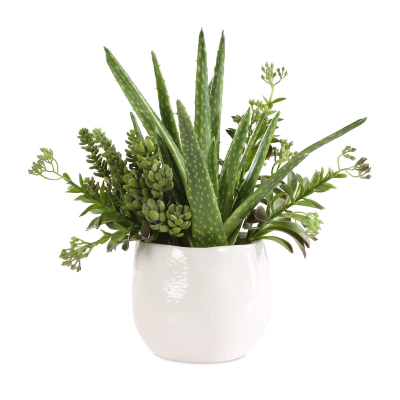 Uttermost 60244 Sundown Succulent Accent Planter