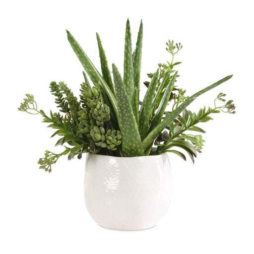 Uttermost 60244 Sundown Succulent Accent Planter