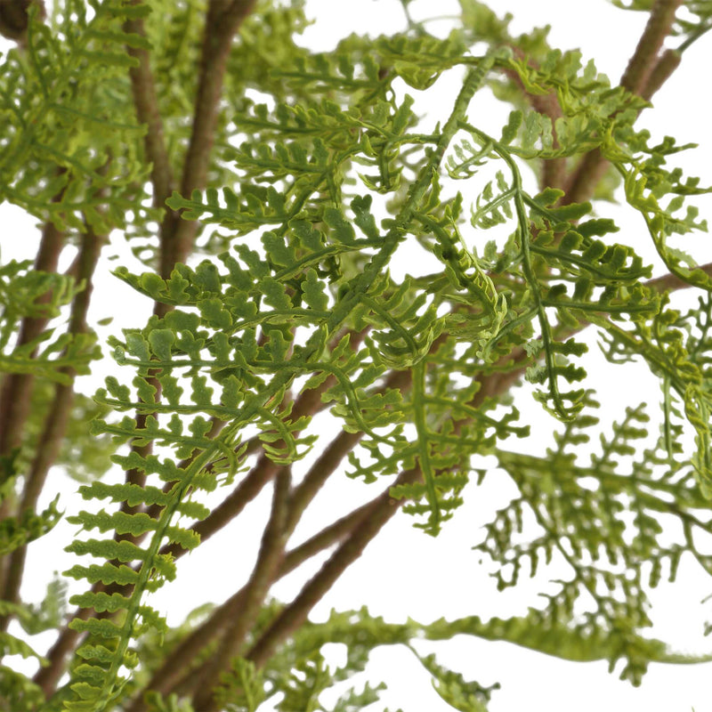 Uttermost 60245 Woodland Fern Centerpiece