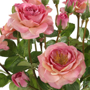Uttermost 60250 Adoration Rose Bouquet