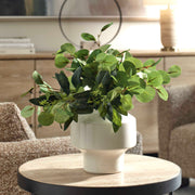 Uttermost 60257 Essence Eucalyptus Accent & Vase