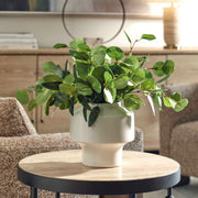 Uttermost 60257 Essence Eucalyptus Accent & Vase