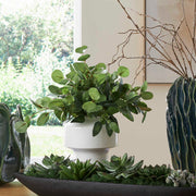 Uttermost 60257 Essence Eucalyptus Accent & Vase