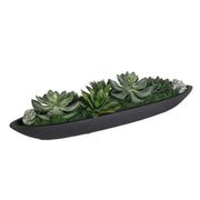 Uttermost 60260 Verde Succulent Centerpiece In Bowl