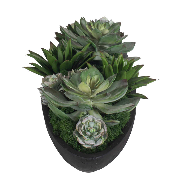 Uttermost 60260 Verde Succulent Centerpiece In Bowl