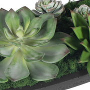 Uttermost 60260 Verde Succulent Centerpiece In Bowl