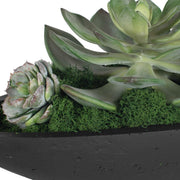 Uttermost 60260 Verde Succulent Centerpiece In Bowl