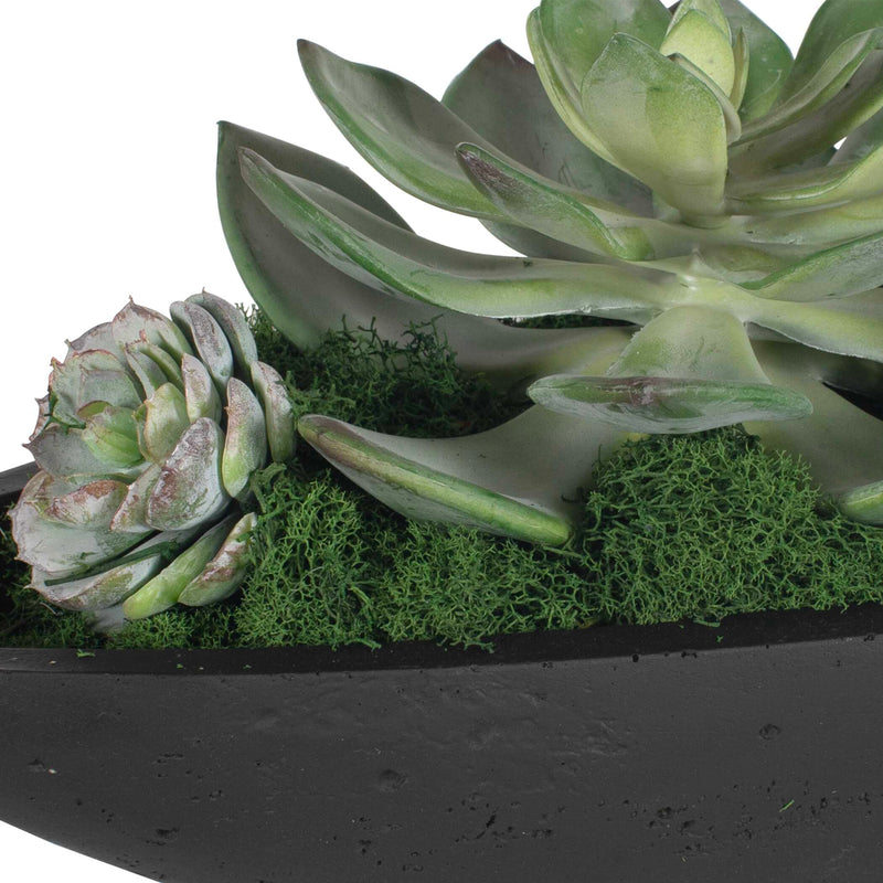 Uttermost 60260 Verde Succulent Centerpiece In Bowl