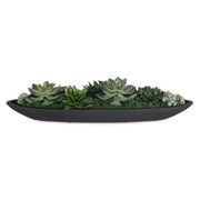 Uttermost 60260 Verde Succulent Centerpiece In Bowl