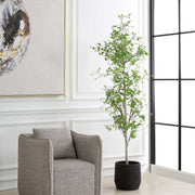 Uttermost 60263 Boreal Potted Birch Tree