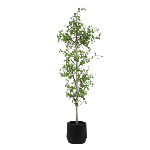 Uttermost 60263 Boreal Potted Birch Tree
