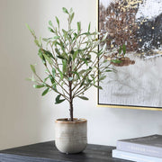 Uttermost 60264 Solea Olive Accent & Textured Vase
