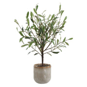 Uttermost 60264 Solea Olive Accent & Textured Vase