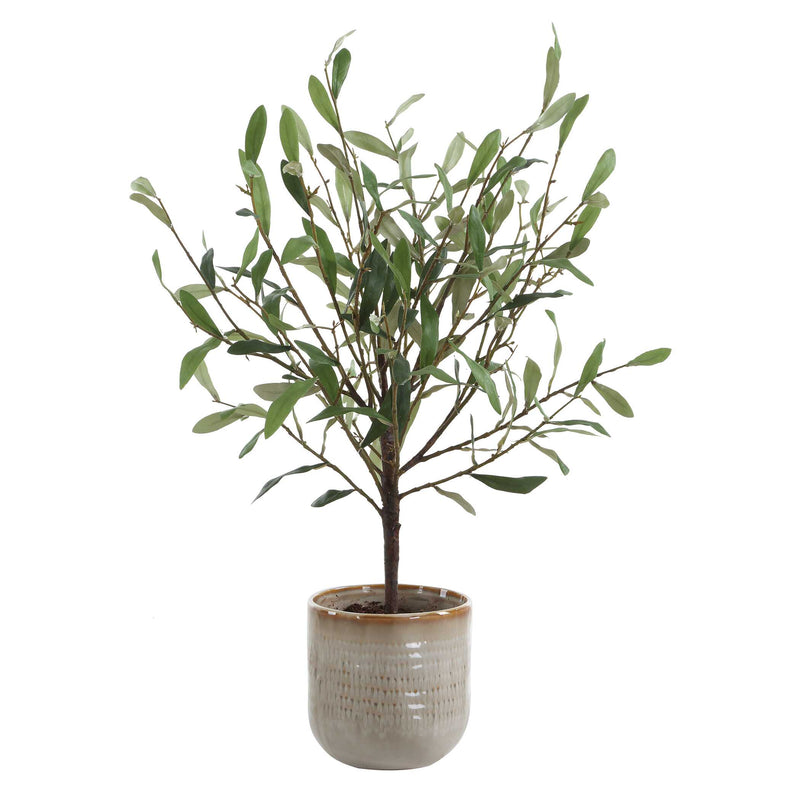 Uttermost 60264 Solea Olive Accent & Textured Vase