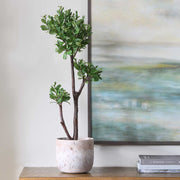 Uttermost 60266 Arbor Strawberry Tree