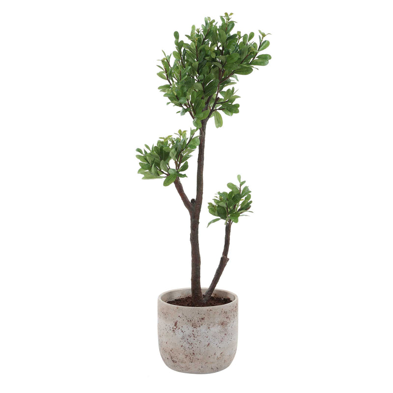 Uttermost 60266 Arbor Strawberry Tree