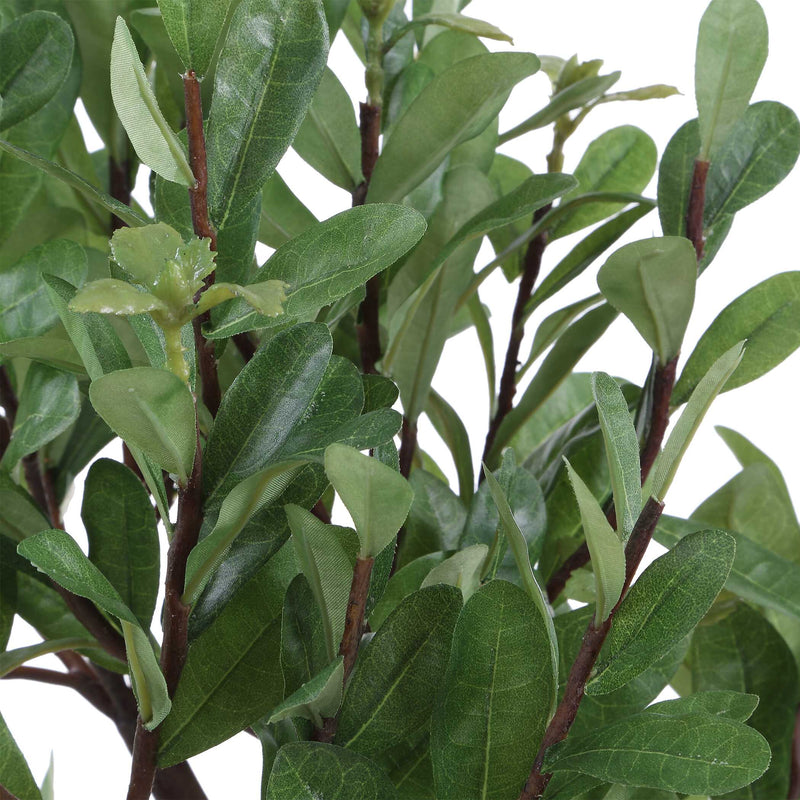 Uttermost 60266 Arbor Strawberry Tree