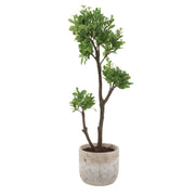 Uttermost 60266 Arbor Strawberry Tree