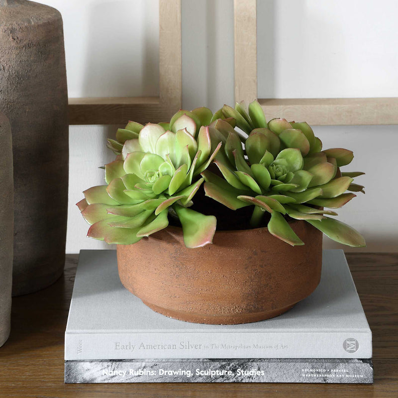 Uttermost 60267 Sable Succulent Accent In Pot