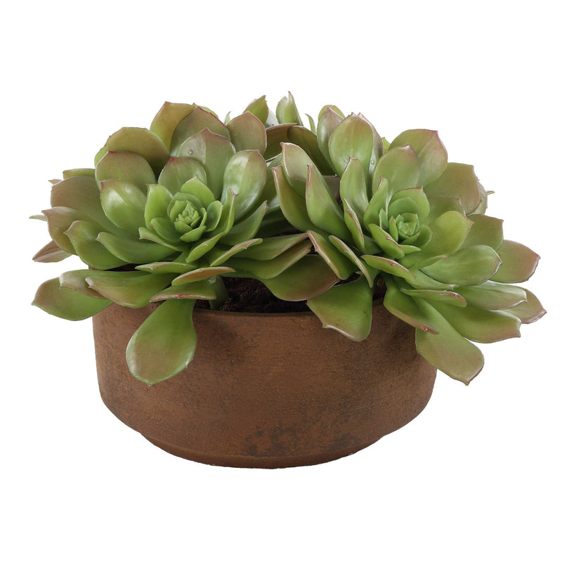 Uttermost 60267 Sable Succulent Accent In Pot