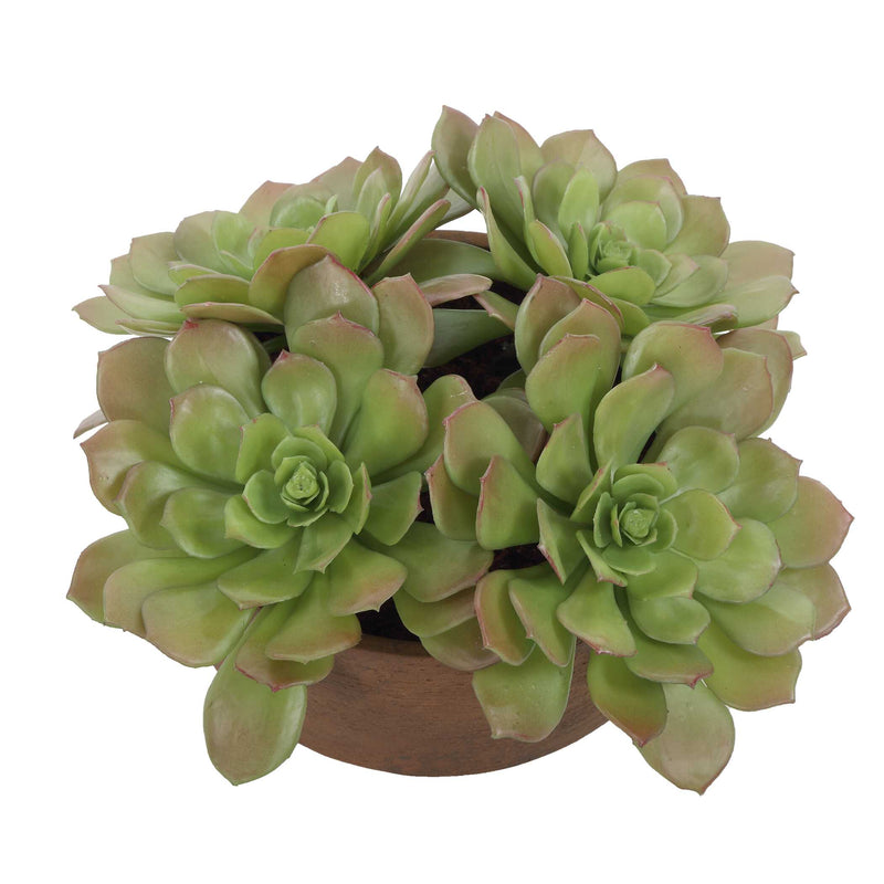 Uttermost 60267 Sable Succulent Accent In Pot