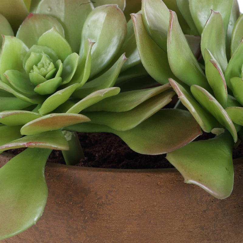 Uttermost 60267 Sable Succulent Accent In Pot