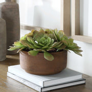 Uttermost 60267 Sable Succulent Accent In Pot