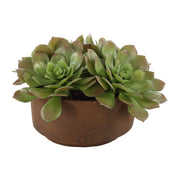 Uttermost 60267 Sable Succulent Accent In Pot