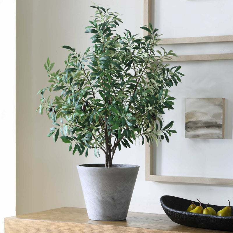 Uttermost 60268 Marisol Potted Olive Plant