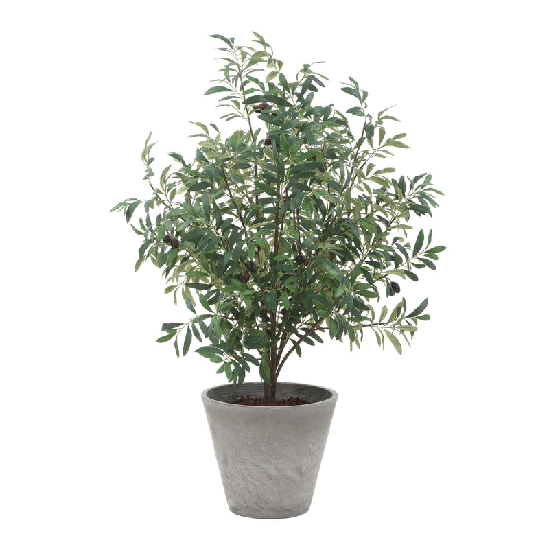 Uttermost 60268 Marisol Potted Olive Plant