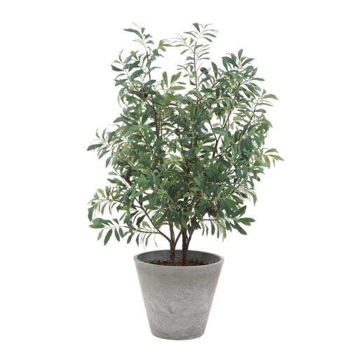 Uttermost 60268 Marisol Potted Olive Plant